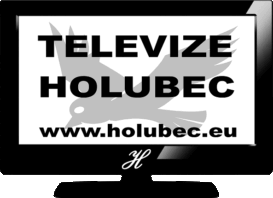Televizní servis Holubec